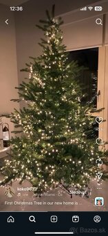 Vianočný stromček Kaemingk Everlands Jedľa 240cm - 8