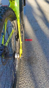 Kellys whip 10 2018 - 8