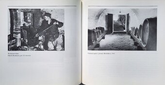 Ema Drábiková - Človek vo vinici - 8