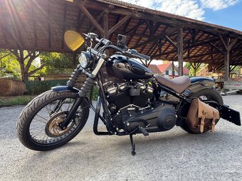 HARLEY DAVIDSON SOFTAIL CUSTOM - 8
