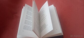 Z kvetov zla - Ch.Baudelaire, Bezák, Nič nie je náhoda - 8