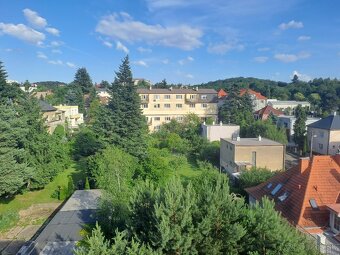 Bratislava-Staré mesto: 4-i byt s terasou pri Horskom parku - 8