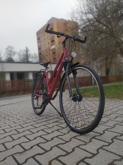 Prodám bicykle Winora Grenada S - 8