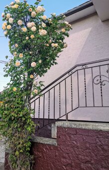 3 izbový dom Sľažany - 8