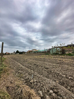 Stavebný pozemok 4702 m² v obci Trstice, Galanta - 8