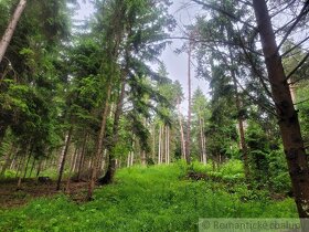 Rekreačný pozemok uprostred lesa pri Považskej Bystrici - 8