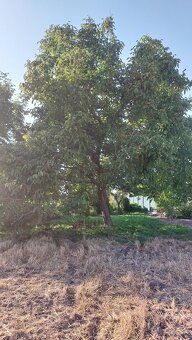 Rodinný dom na predaj s rozsiahlym pozemkom, Dvorniky - 8
