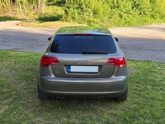 Audi A3 8P 1.9TDI 77KW BXE bez DPF - 8
