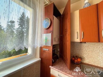 DELTA - NA PREDAJ 3-IZBOVÝ BYT s GARÁŽOU - vlastné kúrenie,  - 8