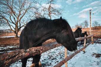 Fujifilm XF 16mm f/1.4 R WR - 8