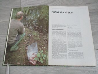 Chytání velkých kapru - 8