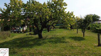 Stavebný pozemok s veľkou záhradou a potenciálom - 8