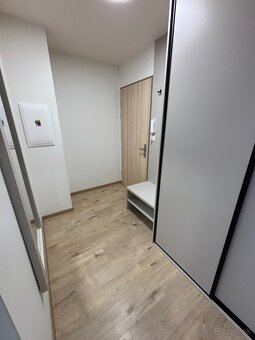 Prenájom 2izb. byt, Slnečná pláň s garáž. státím - 8