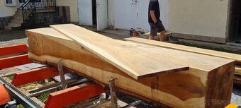 Kmenova pasova píla - 8