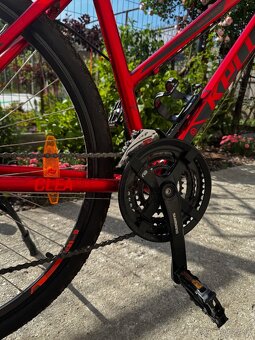 Kellys Clea 90 M red - 8