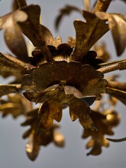 Florentský kvetinový luster - 8