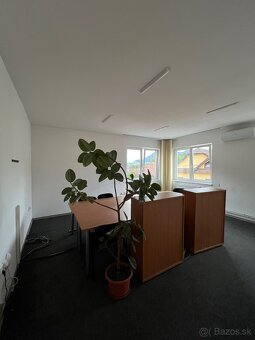 Malovanie-Tepovanie-Upratovanie - 8