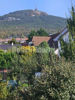 RD - ZOBOR - vhodný na bývanie, aj komerčné účely - 8