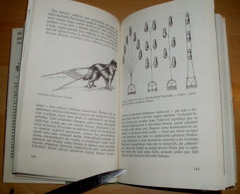 Historie psího rodu - 8