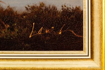 Neziderské jazero, sign.Leon, 1130 × 460 mm - 8