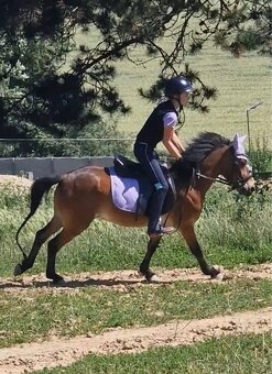 Sportovy pony - 8