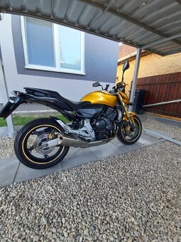 Honda Hornet 600 - 8