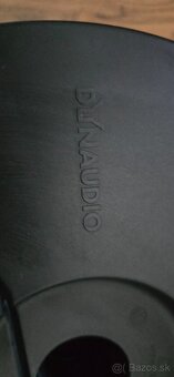 Dynaudio Arteon Passat - 8