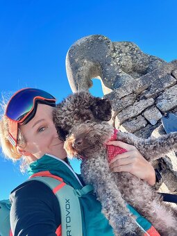 Lagotto Romagnolo s PP - 8