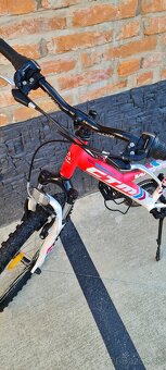 Ctm 24" willy - 8