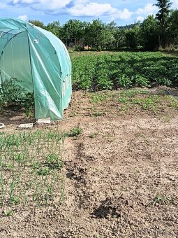 Na predaj veľký, pekný RD v Hosticiach - 8