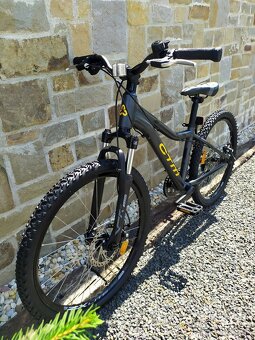 Detský bicykel 24"CTM - 8