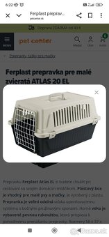 Darujem kocúrika - 8