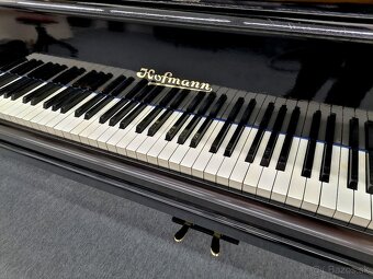Hofmann prestížne klavírne krídlo - 8