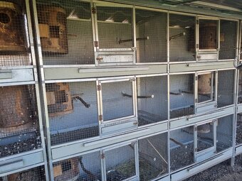 Voliéry..Klietky.Zajačník - 8