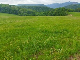 Znížená cena - Predaj pozemku 4708 m2, Budička pri Zvolene - 8