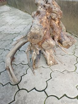 Predám koreň do akvária terária paludária, do skalky - 8