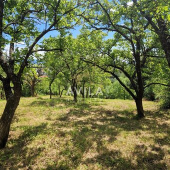 Na predaj rekreačný pozemok 2 920 m², Nové Mesto nad VáhomLo - 8