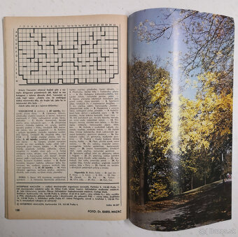 Interpress Magazin 1986 - 8