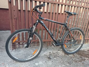 Alpina 19.5" - 8