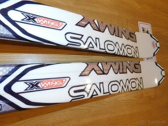 Salomon 172cm - 8