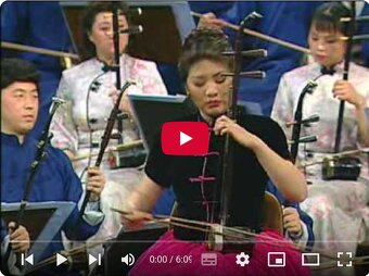 ERHU Čínské tradičné husle - 8