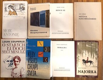 ZAHRANIČNÍ AUTORI-DICKENS, SVETOVÁ KLASIKA A iné... - 8