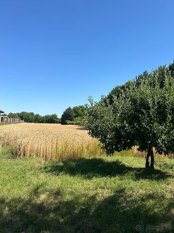 Veľkorysý pozemok 4543 m2 so starším RD - investícia - 8