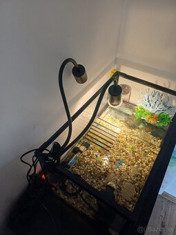 Akvarium s prislusenstvom - 8