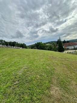 KOSENIE – MULČOVANIE – ČISTENIE POZEMKOV - 8