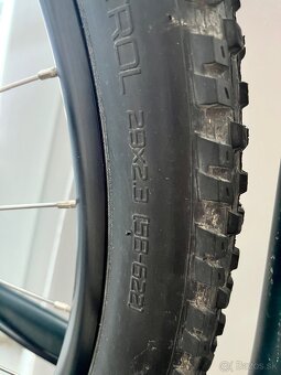 Specialized Rockhopper L 29" - 8