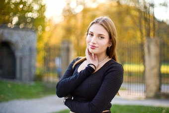 Leica R Summicron 2/90mm - 8