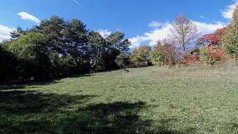 Stavebný, oplotený a slnečný pozemok s vinicou - obec Janík - 8