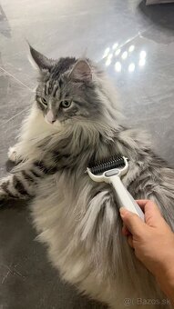 Kompletná sada na úpravu psa - 8