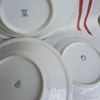 Staré taniere hrubostenné ditmar-urbach a iné - 8